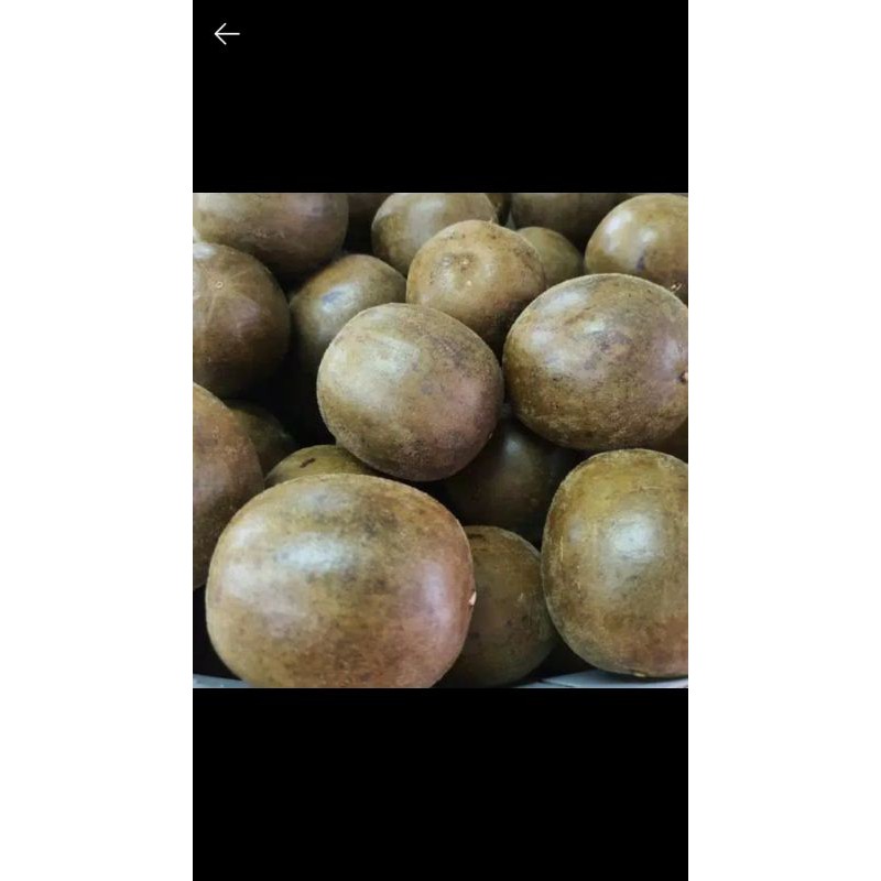 

Buah Lo Han Ko premium