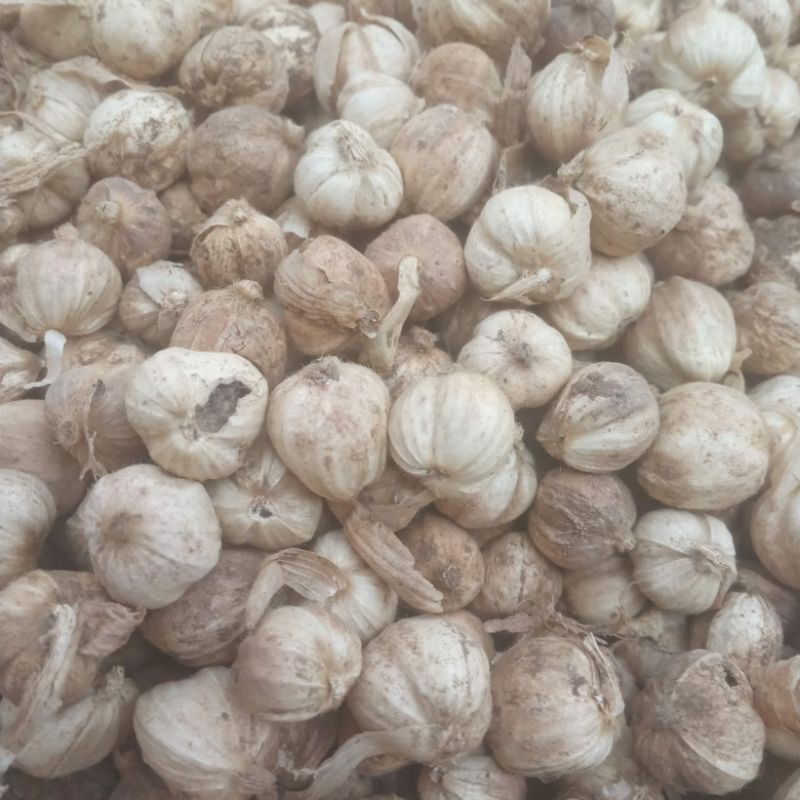 

kapolaga atau kapulaga kering 500gr
