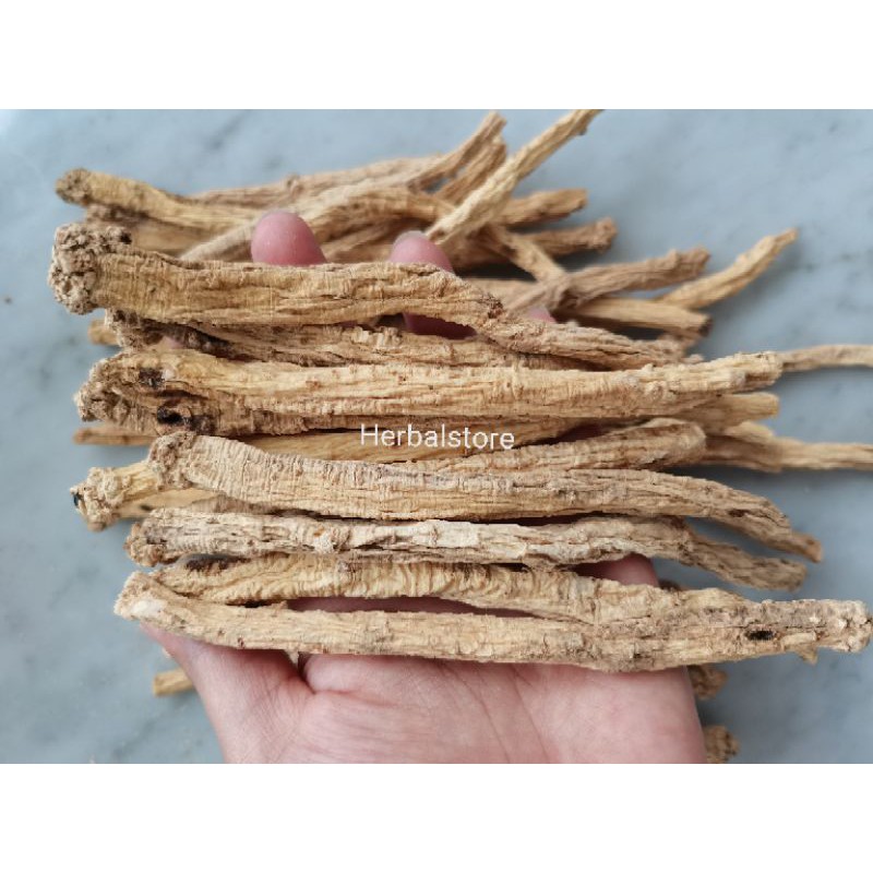 

DONG SHEN (RADIX CODONOPSIS) / TONG SEM PREMIUM NO.3 250GR