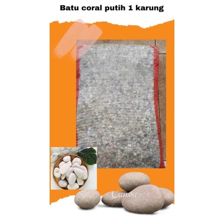 Batu coral 1 karung -/+12 kg | batu coral putih besar | batu koral putih