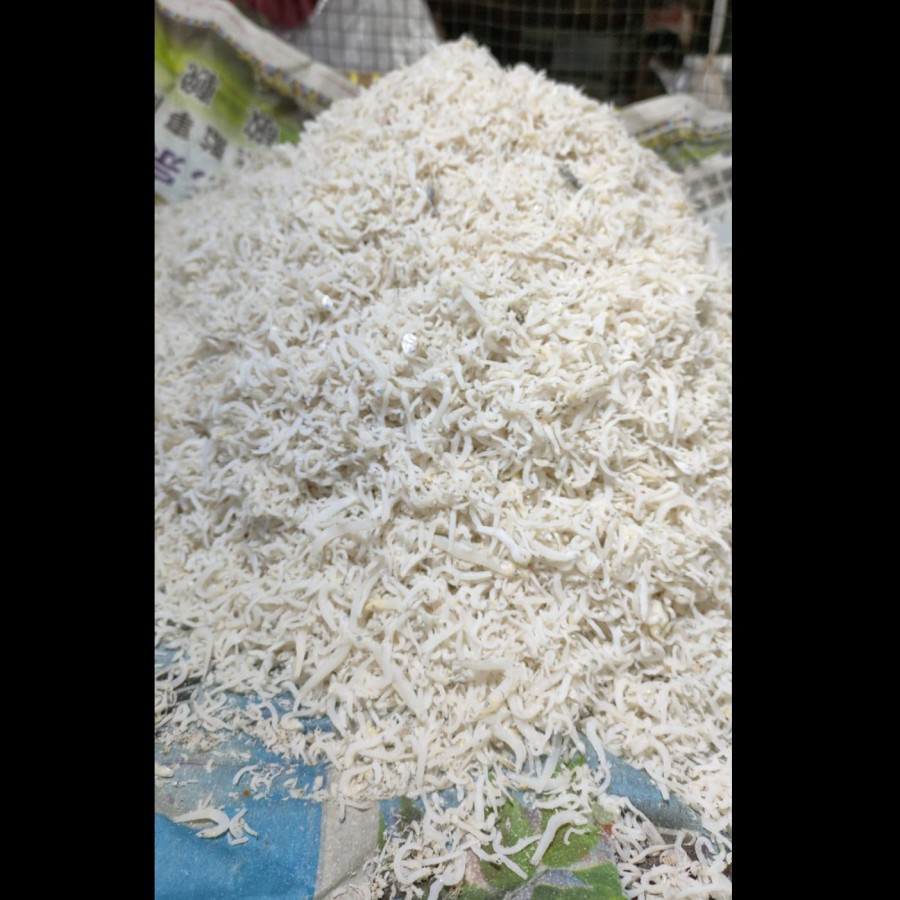 

Ikan Teri Medan | Teri Medan Kering