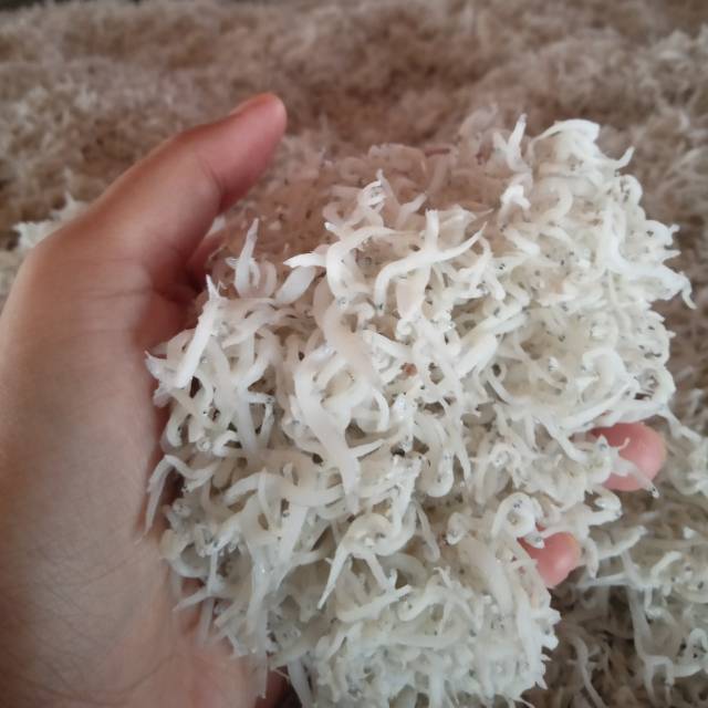 

Teri Nasi kering asin fresh