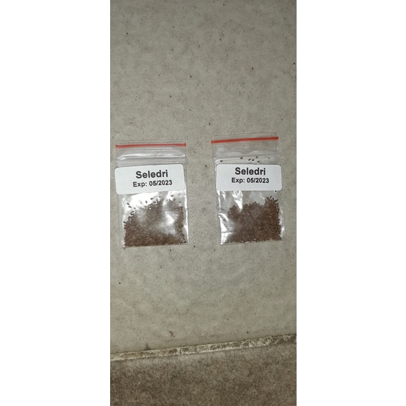 bibit benih hidroponik repack seledri