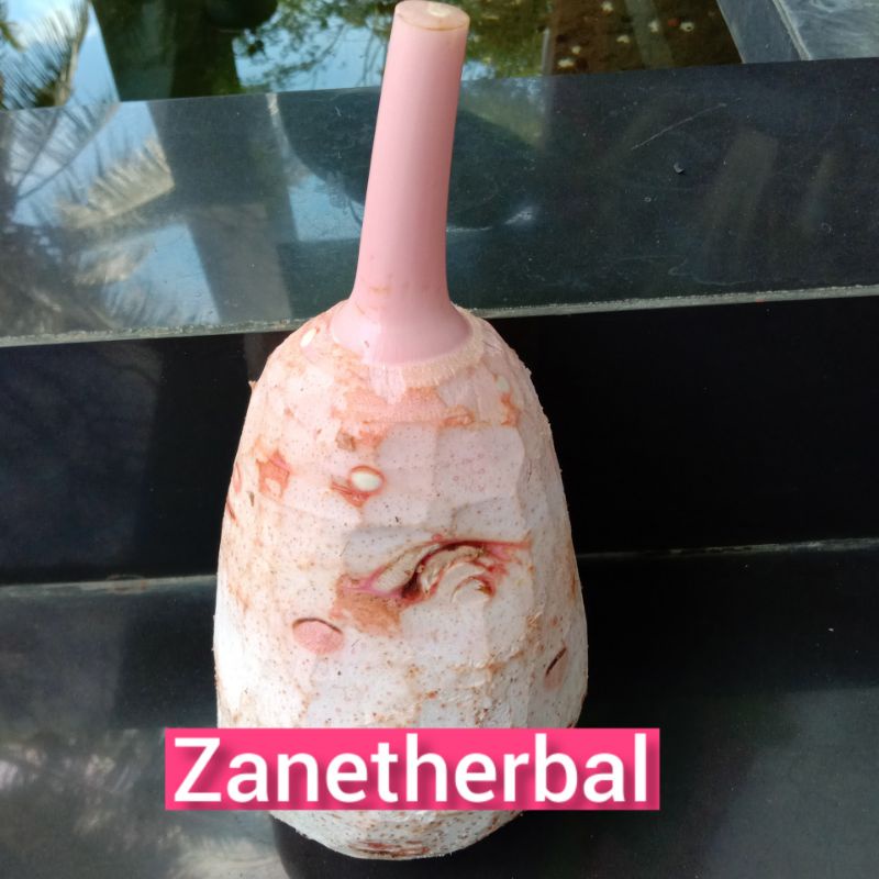 Umbi Talas  Ketan bogor.super pulen dan kenyal banget.per 2kg