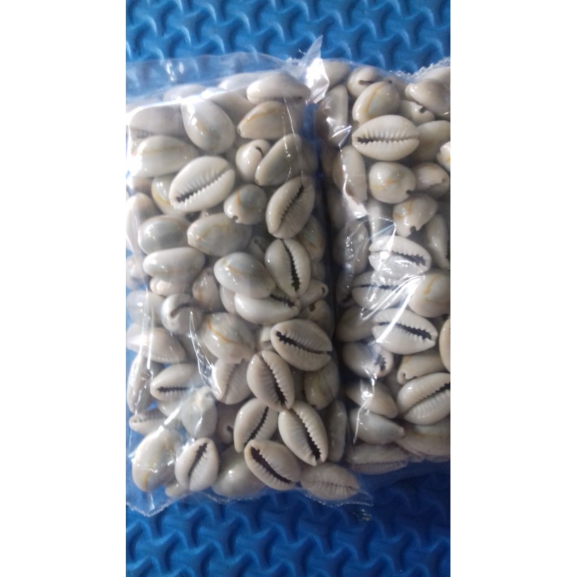 

Jual Biji congklak asli keong Murah