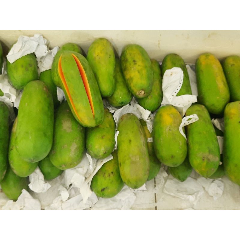 

pepaya california lokal /1 buah