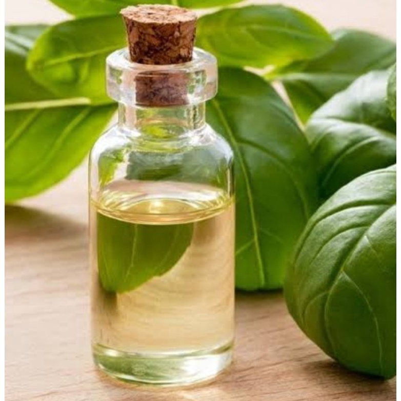 BASIL OIL 100% PURE ESSENTIAL OIL