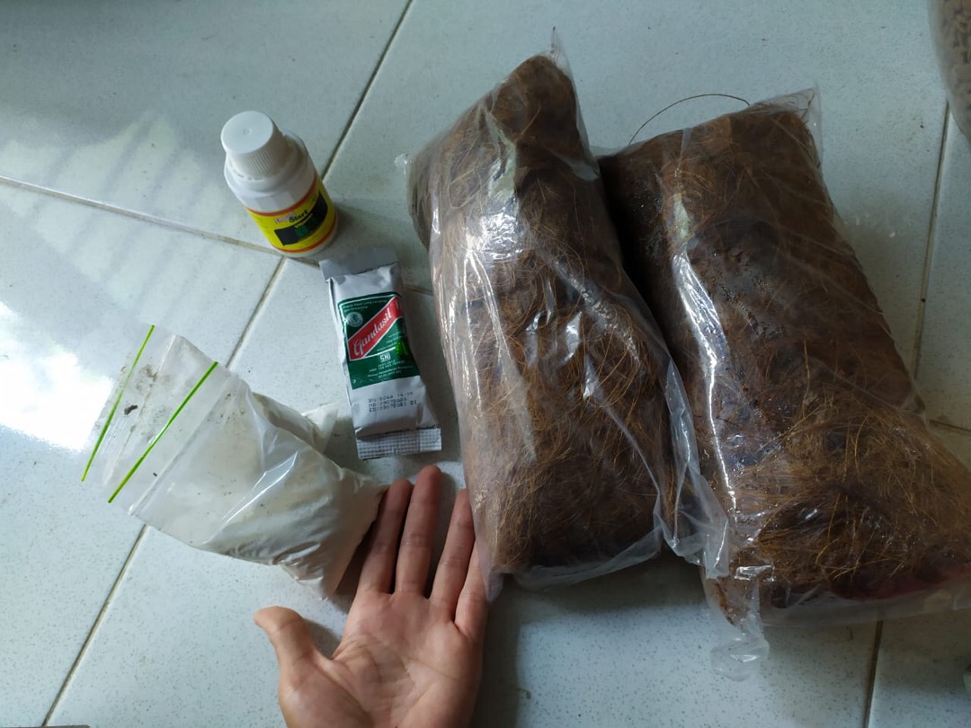 Fungisida Pestisida Antracol 35gram Repacking