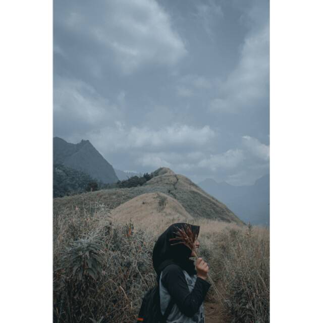 shafitriamalia