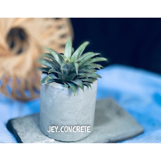 Pot Bulat Semen / Pot Kaktus Pot Sukulen