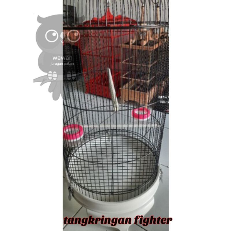 TANGKRINGAN FIGHTER , HARGA TERMURAH, pangkringan, tangkringan