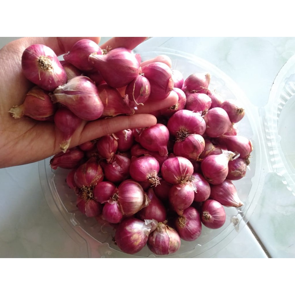 

bawang merah