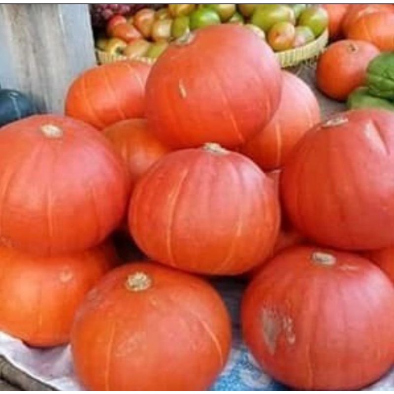 

Labu Jepang kabocha