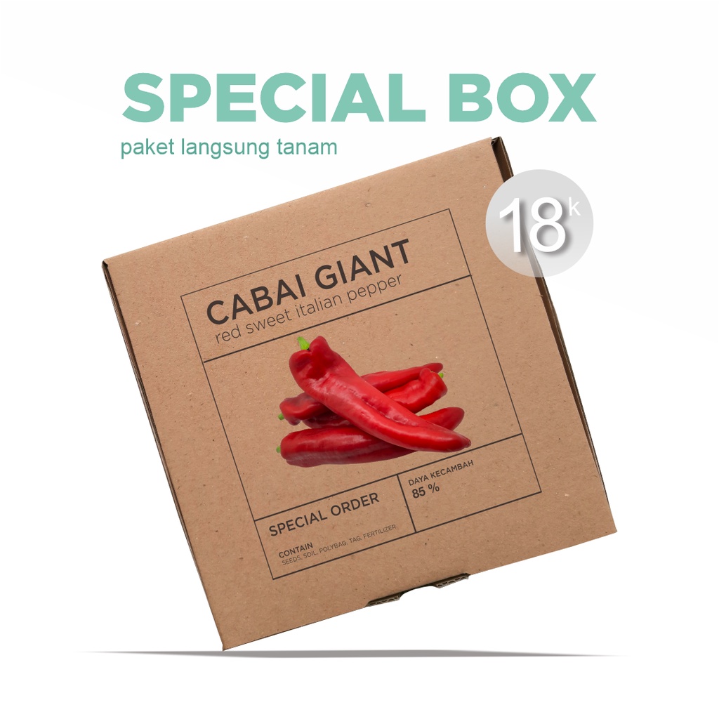 Paket Langsung Tanam - Gardening Kit - SPECIAL BOX - Benih Cabai Giant Red Sweet Italian Seeds