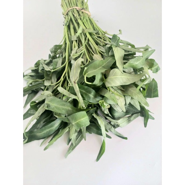 

kangkung1pcs