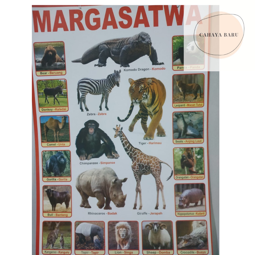 

Poster Edukasi Anak Jenis Hewan Margasatwa