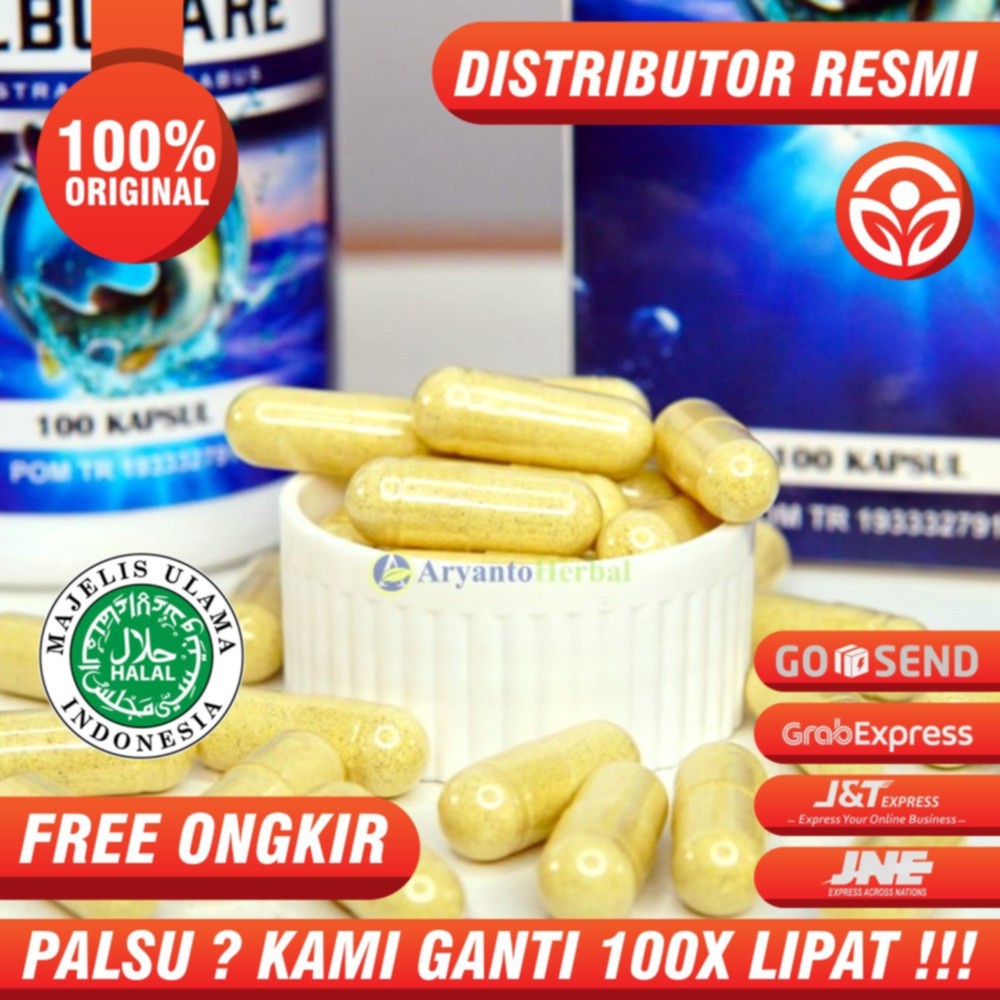 Obat herbal Hepatitis B Kronis Albucare Asli Original Albumin Herbal 100% Kapsul Ekstrak Ikan Gabus