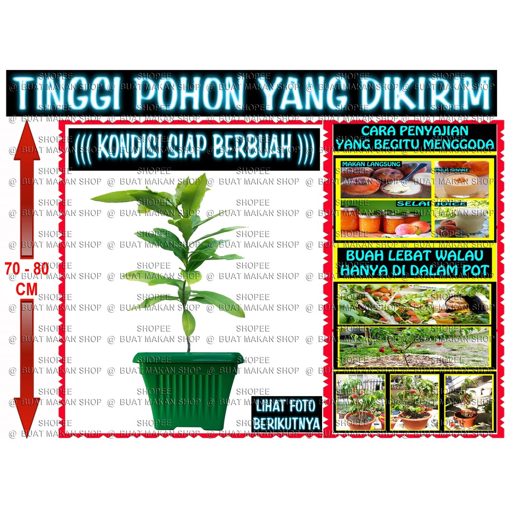 

BUAH CREAM