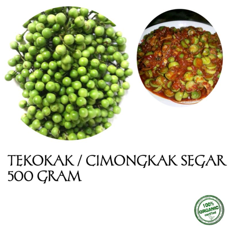 

tekokak / cekokak segar organik 500 gram