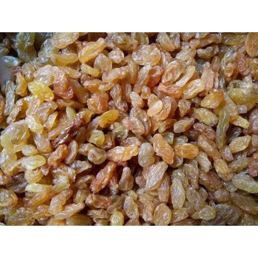 

Kismis Golden Raisin Star 1 Kg Murah