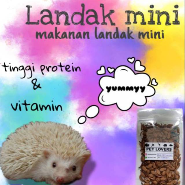 Makanan Landak Mini Shopee Indonesia