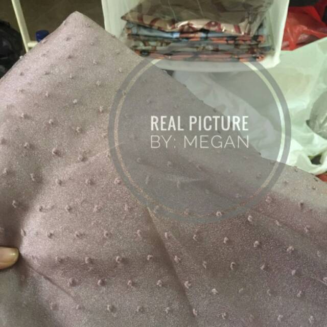 Snowy Organza / Organza Dot