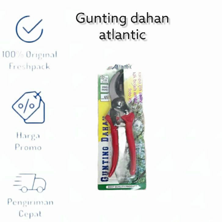 gunting dahan - gunting ranting Atlantic gunting ranting tanaman 8 inch