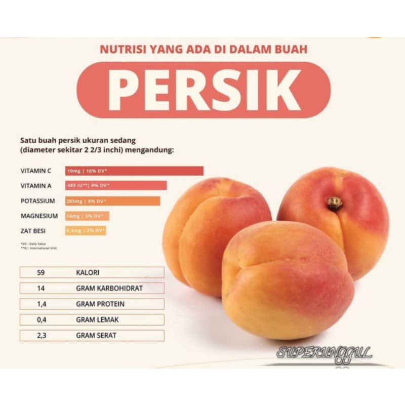 Bibit Buah Persik super