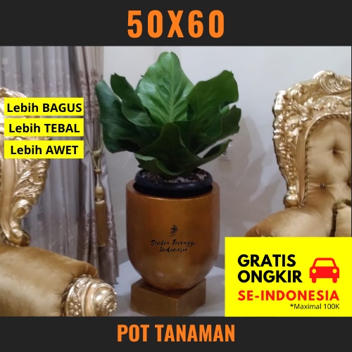 Pot Tanaman Terazzo Emas Ukuran D50 T60 / Pot Teraso Marmer / Pot Terrazzo Besar