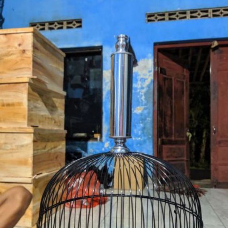 pion tabung Panjang Stainles sangkar pleci pcmi Holopet dll Pion Tabung Stainless