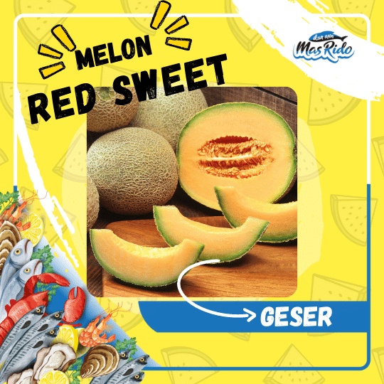 

Melon Red Sweet Manis Harum Segar Fresh Kwalitas Super Harga Murah