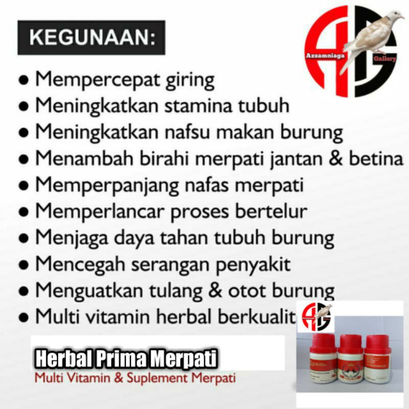 JAMU MERPATI  HERBAL PRIMA MERPATI  JAMU HPM MERPATI 100 BUTIR