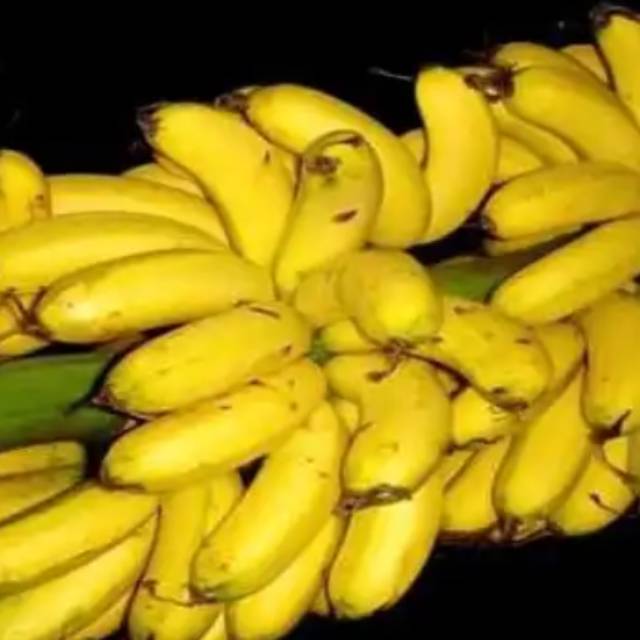 1 tandan pisang uli ukuran sedeng