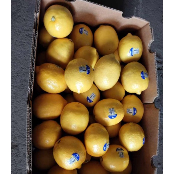 

Jeruk Lemon Import Asli dengan bungkus tiap buah