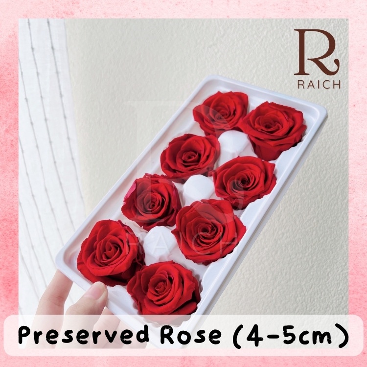 [8 Pcs/Box] Preserved Rose / Mawar yang Diawetkan