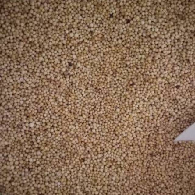 

KTr190 Ketumbar per 1 kg
