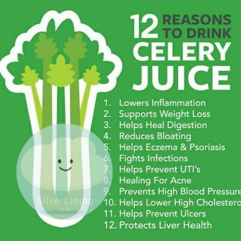 

CELERY STICK SELEDRI STIK IMPOR PER 1KG