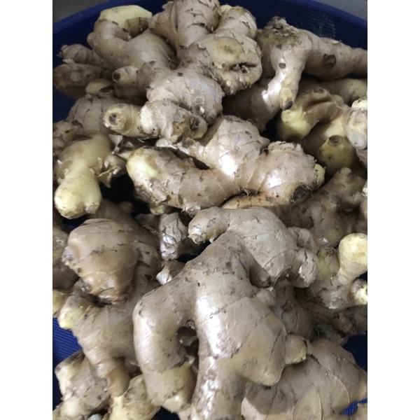 

Jahe Putih Rempah 100 gr