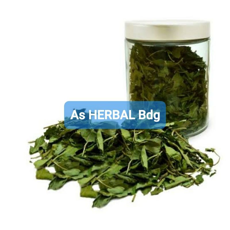 

Daun sangitan kering sambucus javanica-az