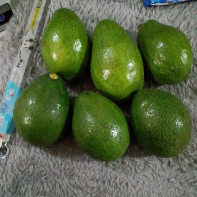 

Alpukat mentega super