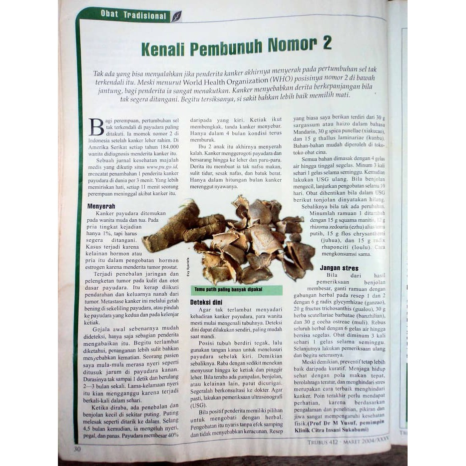 

TERMURAH - KUNYIT PUTIH SEGAR 1 KG KUNIR,TEMU