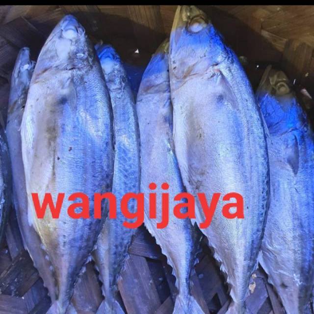 

Kembung rebus Medan 500gram