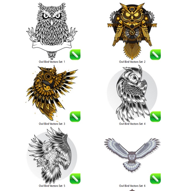 Owl Bird Vectors - Coreldraw