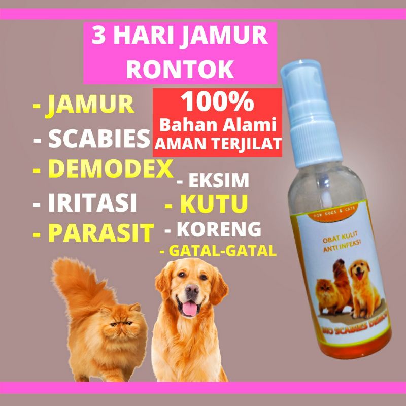 OBAT JAMUR  KUCING ANJING  / OBAT KUTU KUCING  ANJING / OBAT BULU KUCING ANJING