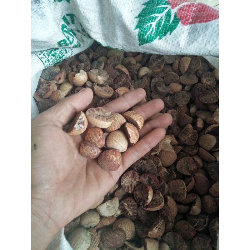 

buah pinang jambe jebug kering 500gr