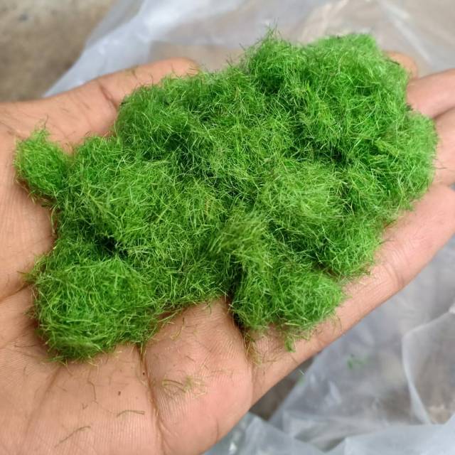 bahan diorama rumput statis / grass static untuk miniatur diorama