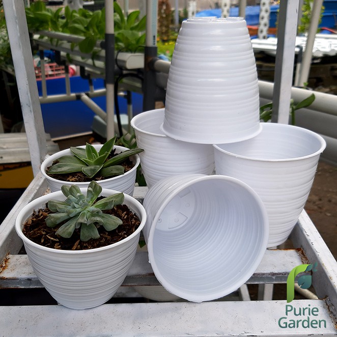 Pot Bunga Hias Tawon Madu 10cm Putih SA Kumbang 10 PG KDR