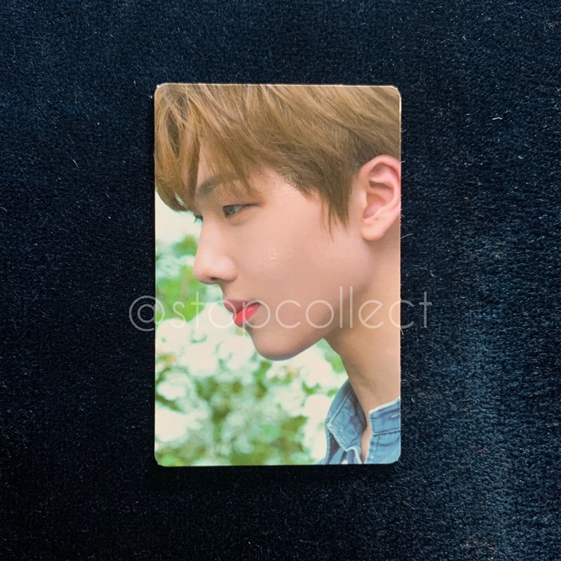 A Precious Moment Jisung - pc photo card photocard apm nct dream