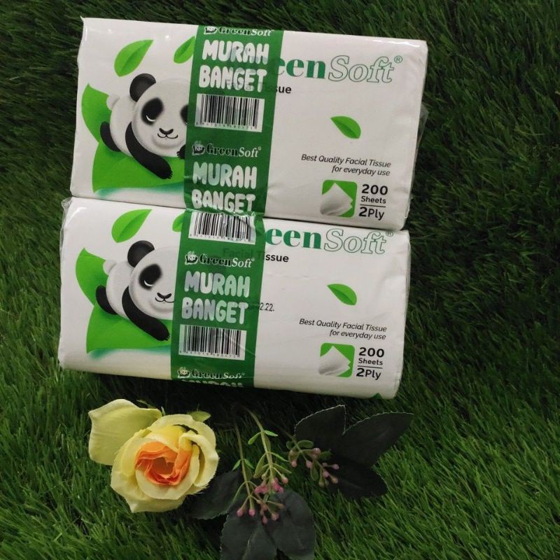 Tissue Green Facial 200sht Banded