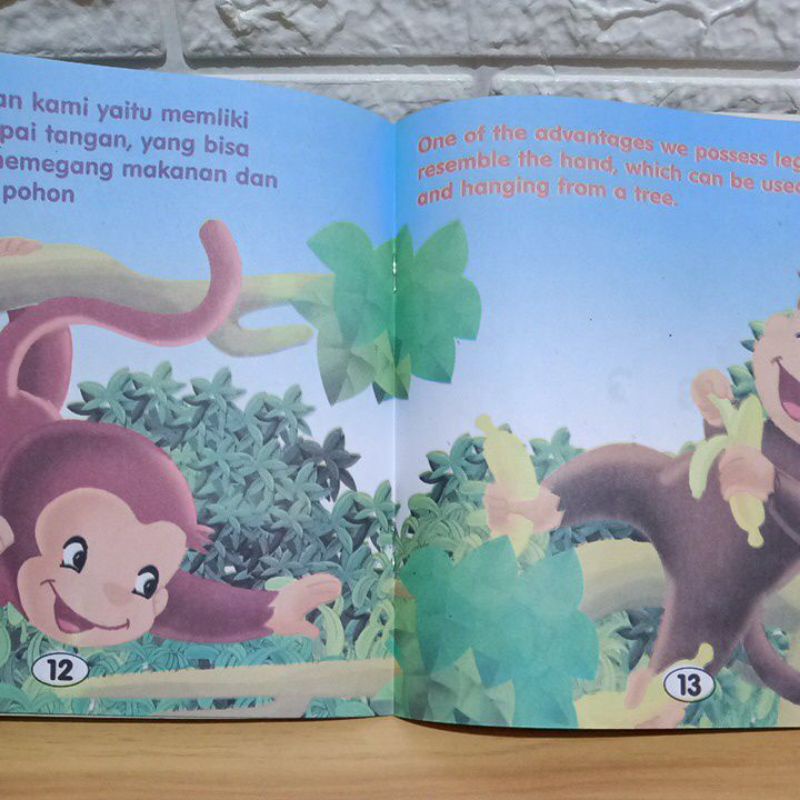 Buku Cerita Anak Monyet/seri mengenal hewan